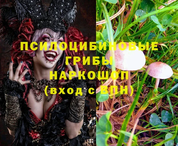 spice Навашино