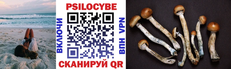 Купить закладки  Любань  Псилоцибиновые грибы мухоморы 